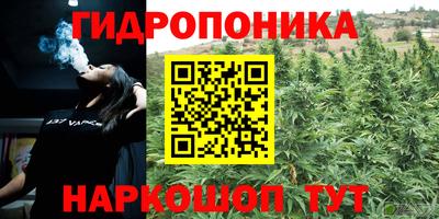 крисы Бузулук