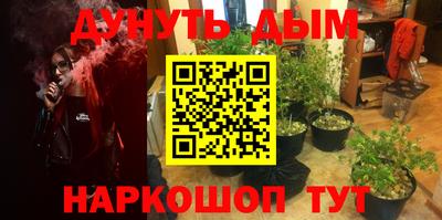 крисы Бузулук