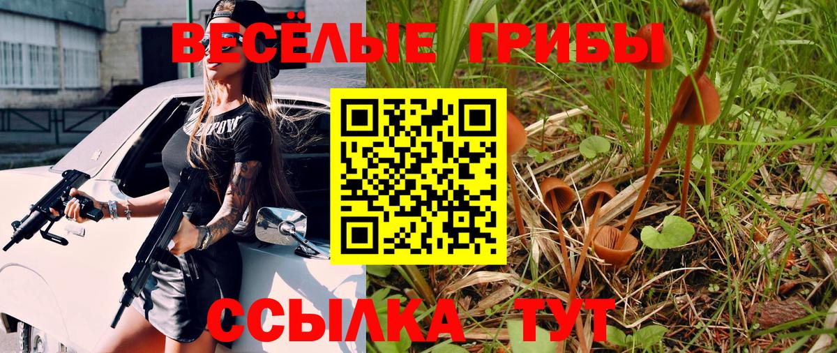 Галлюциногенные грибы мухоморы Ртищево