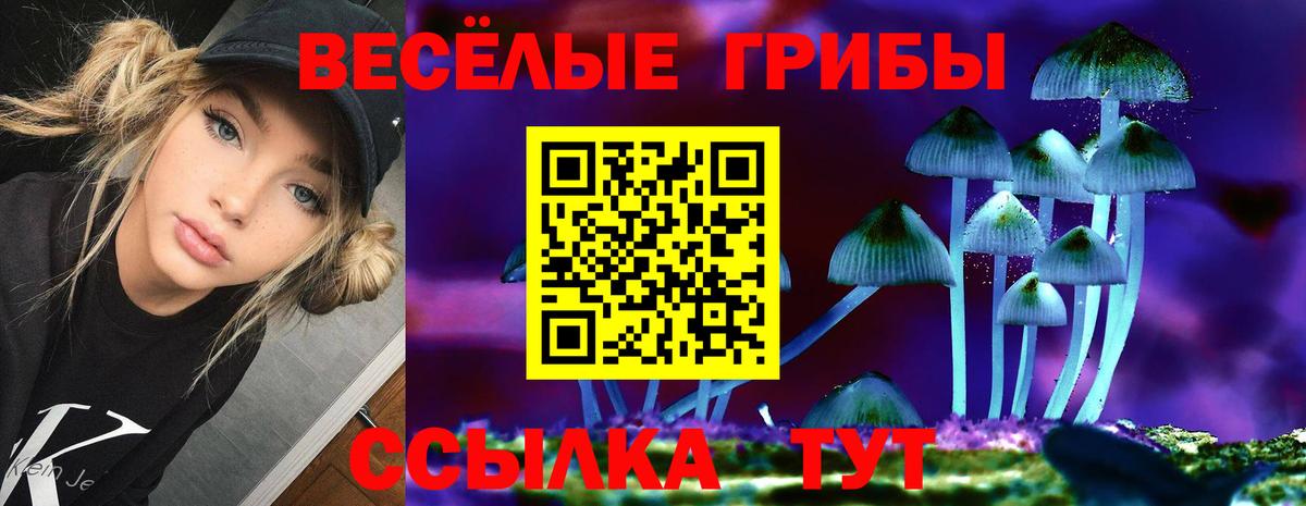 купить   Псилоцибиновые грибы мицелий  Вход с VPN  Ртищево 